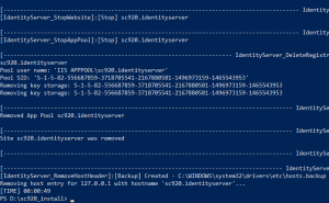 Showing host entry removing 127.0.0.1