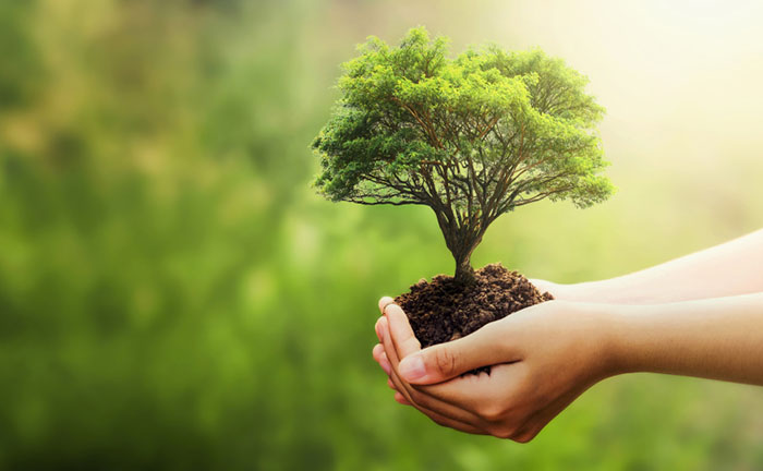 Sustainability header image