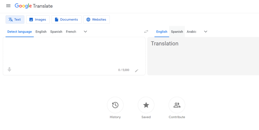 screenshot of Google Translate tool