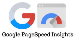 Google PageSpeed Insights Logo