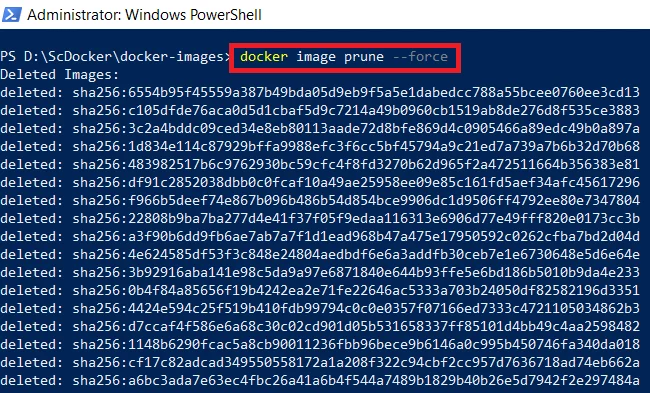 screenshot of docker image prune